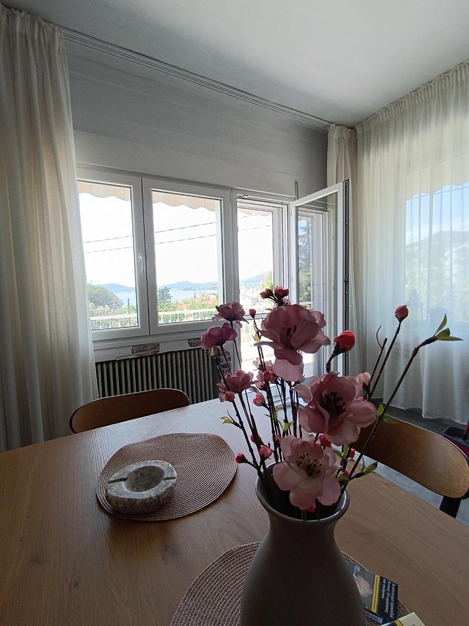 Sea View Palio Apartment PalaiónTsiflíkion Buitenkant foto